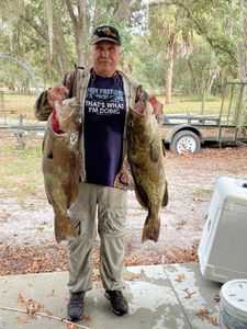 Grouper madness unleashed in Crystal River
